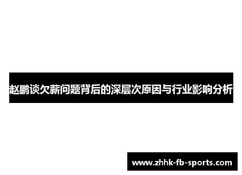 赵鹏谈欠薪问题背后的深层次原因与行业影响分析