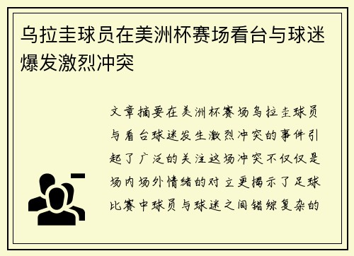 乌拉圭球员在美洲杯赛场看台与球迷爆发激烈冲突